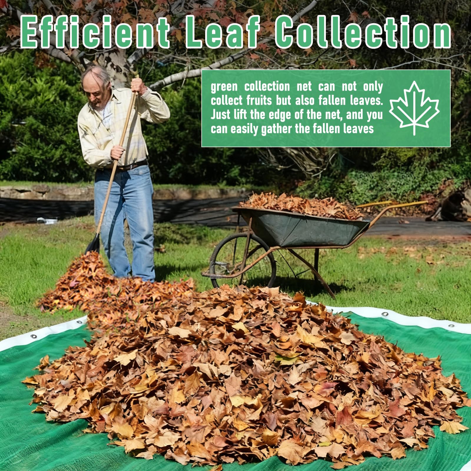 Red de cosecha agrícola verde de 26.6 x 13 pies para recolección de fruta, oliva, castaño, ciruela y avellana, red de recolección fácil de recoger y reutilizable (8 x 4 m)