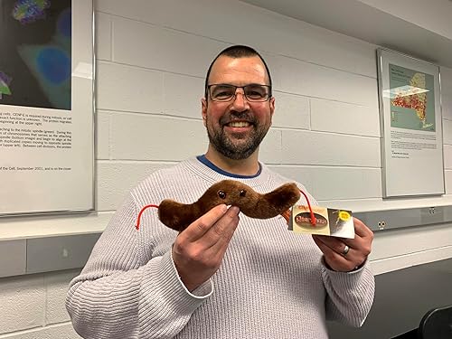 Miniatura 2 de GIANTmicrobes Diarrea Plush – Aprende sobre la salud digestiva, las bacterias Campylobacter y cómo afecta el cuerpo, regalo humorístico para amigos,