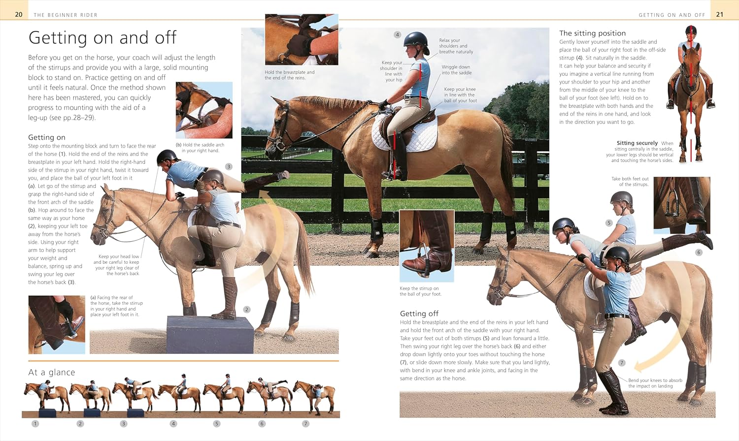 Complete Horse Riding Manual (DK Complete Manuals) - Image 2