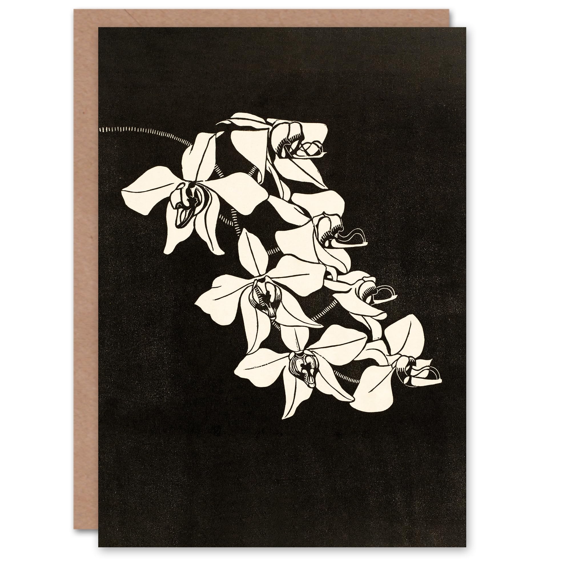 Artery8 - Greeting Card - Black & White Orchid Flower