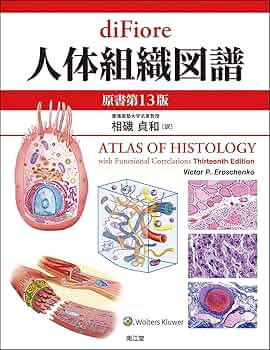 81xiGLlS1NL._AC_UF350,