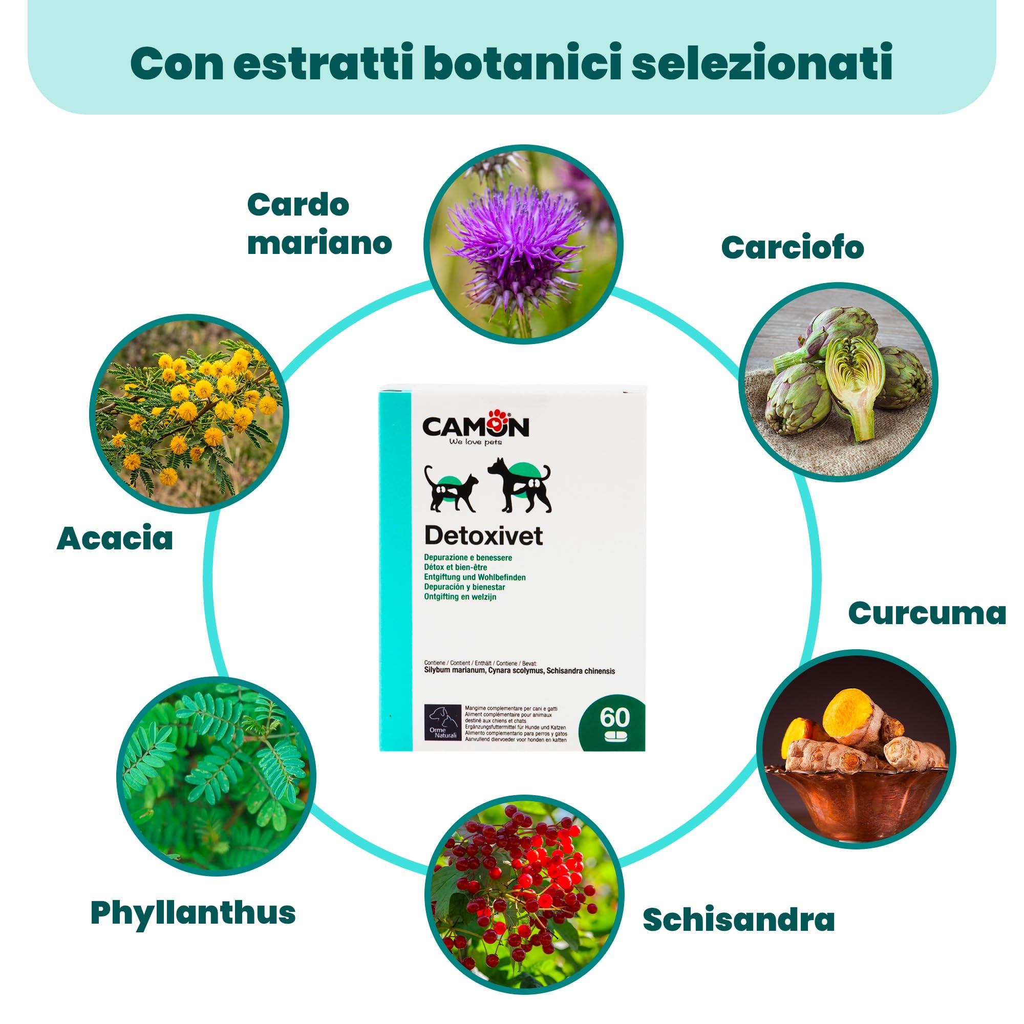 CAMON | Detoxivet Ergänzungsfuttermittel für Hunde und Katzen, entschlackende und entgiftende Wirkung, reguliert die Darm- und Nierenfunktion, 60 Tabletten à 1 g