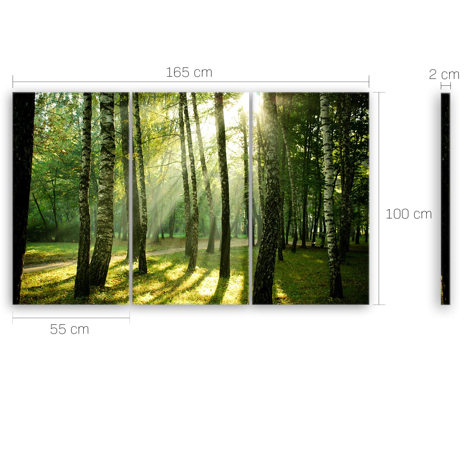 ge Bildet Bild auf Leinwand | Wald - natur blumen Wald Sonnenschein grün I in 165x100 cm mehrteilig als Wandbild XXL | Wand-deko Dekoration Wohnung modern Bilder | 2213