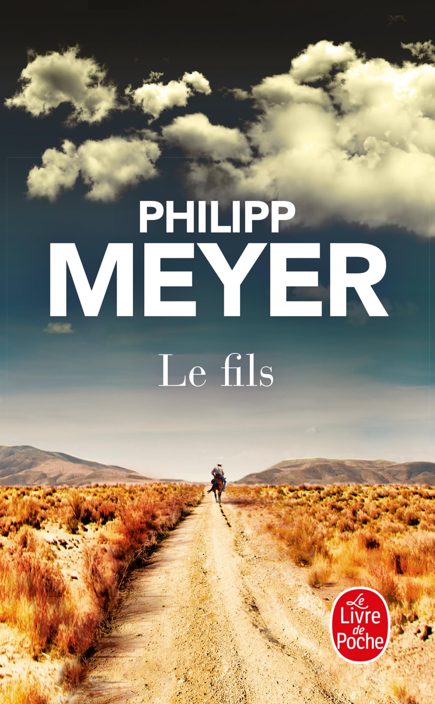 Le fils (Littérature)