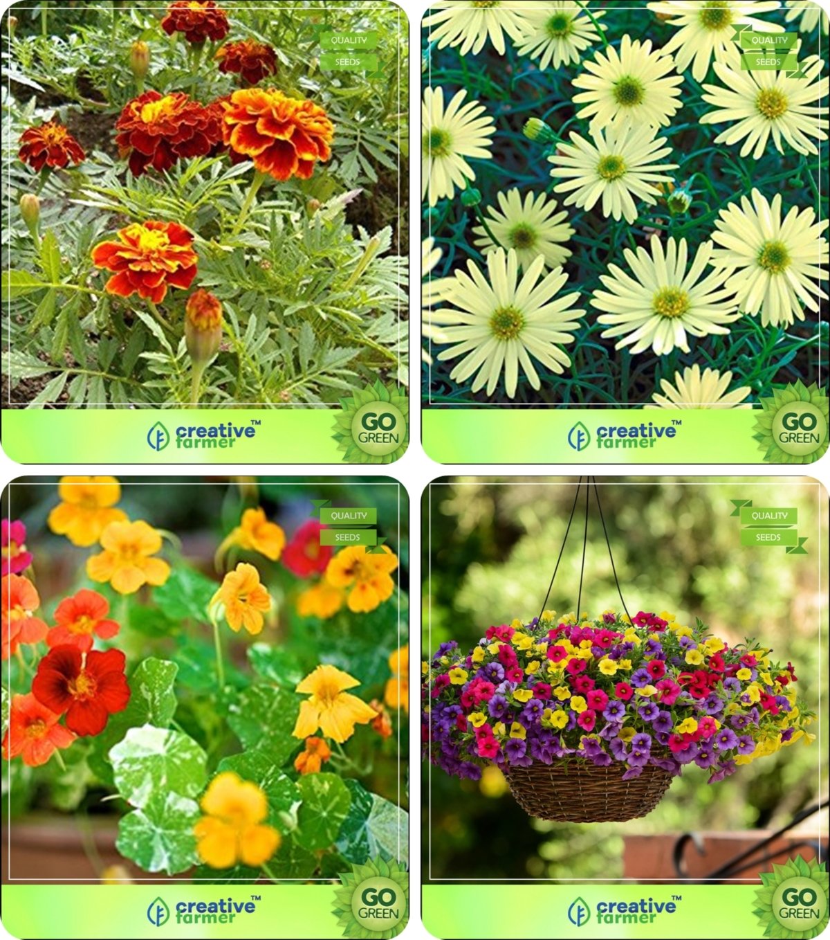 Creative Farmer Flower Seeds : Plant Seeds For Hanging Pot Winter/Summer & All Season & Winter Combo Marigold-Bolero Red, Metrecaria-Gold Star, Nasturtium, Petunia Flower Seeds Pack By CreativeFarmer (B076ML29W5) Amazon Price History, Amazon Price Tracker