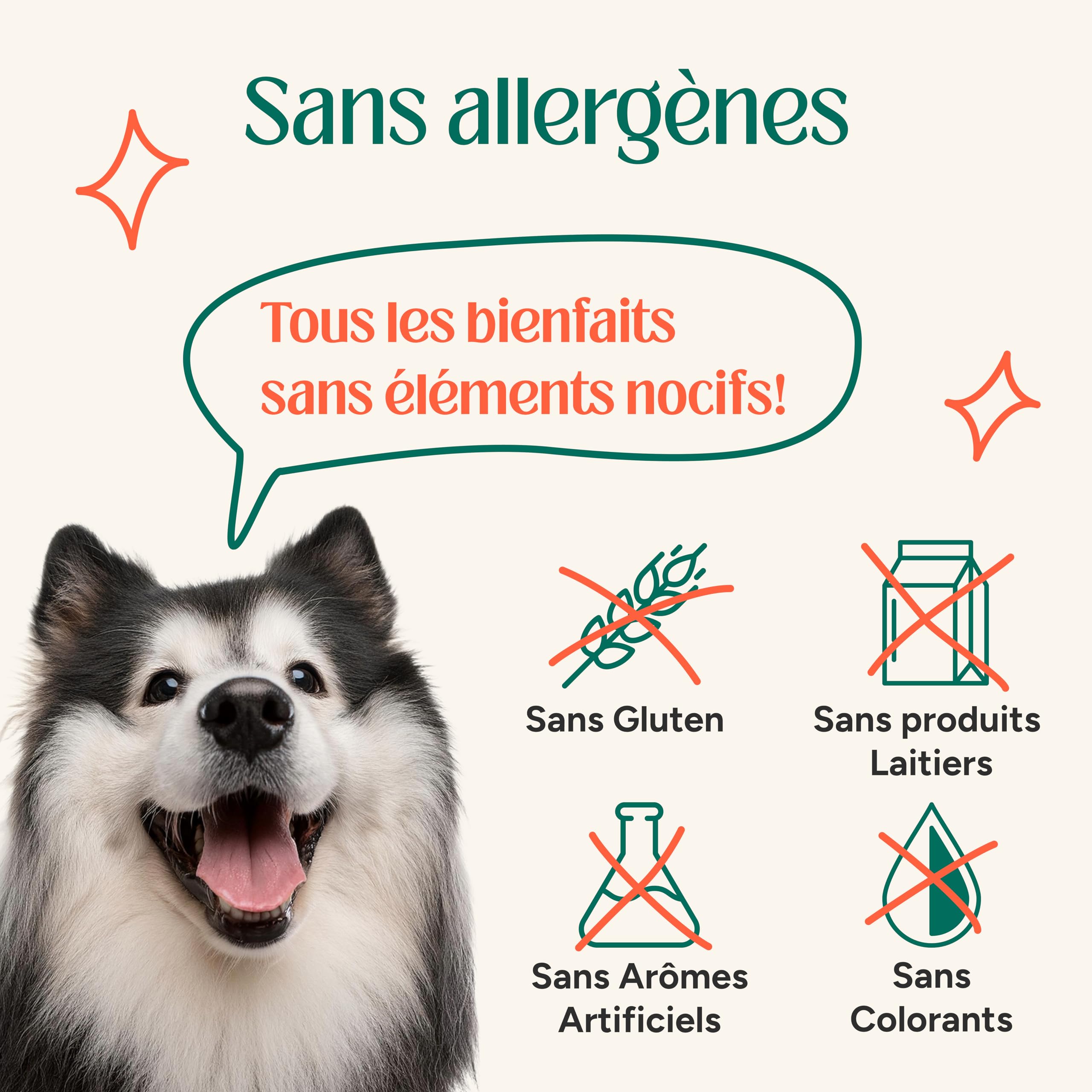 Probiotiques Chien, Complément Naturel pour la Santé Intestinale, Soutien Digestif et Immunitaire, Soulagement des Allergies Toutes Races (60 Chews)