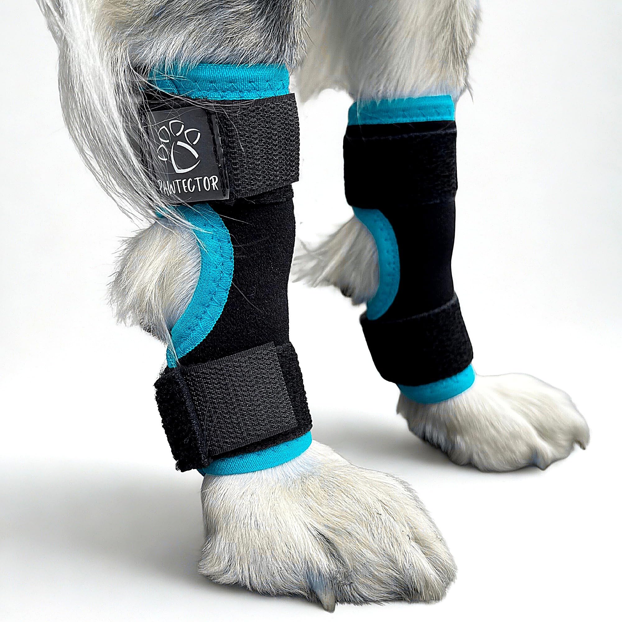 PAWTECTOR Dog Leg Brace - CarpiFlex Sport Wraps with Storage Pouch, Turquoise - M