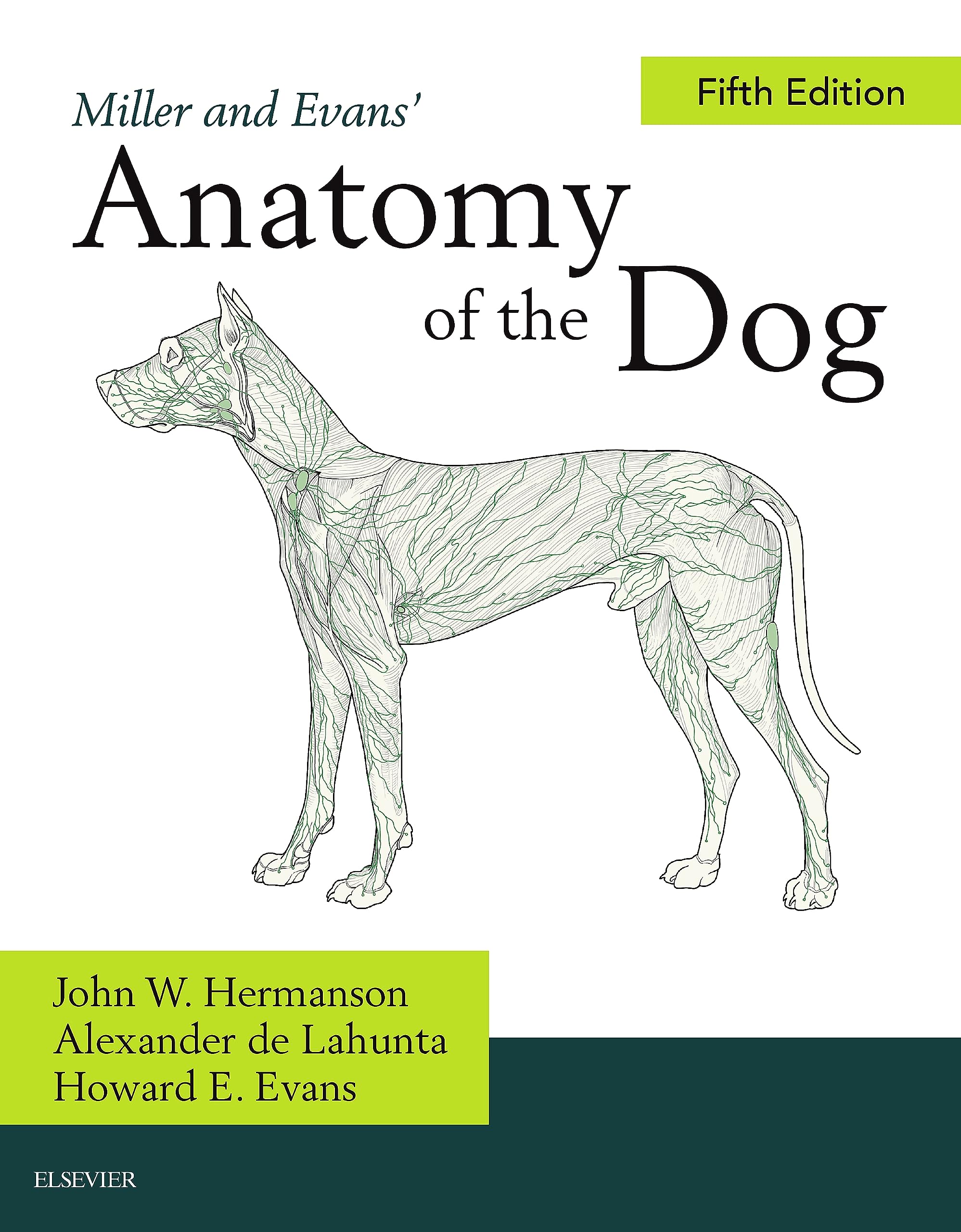 Miller and Evans' Anatomy of the Dog - E-Book (English Edition)