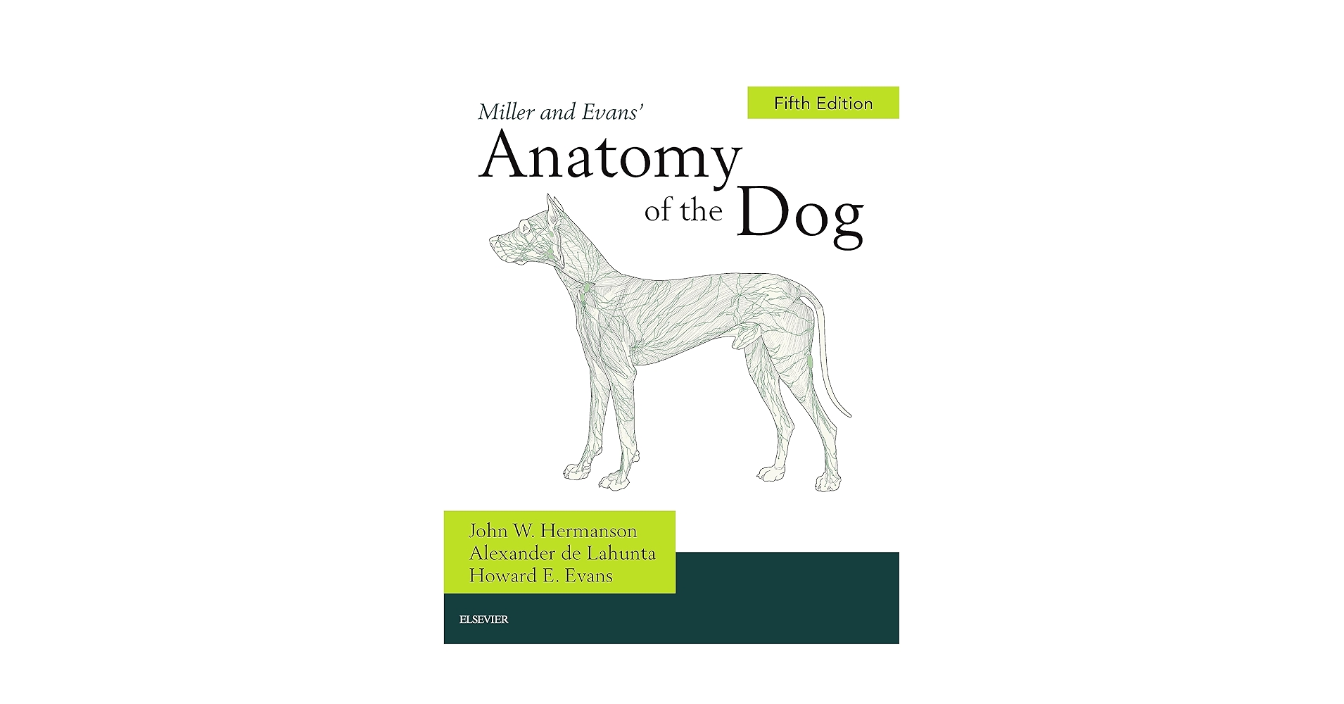 Evans and de Lahunta犬の解剖 Amazon.com: Miller and Evans' Anatomy of the Dog - E-Book