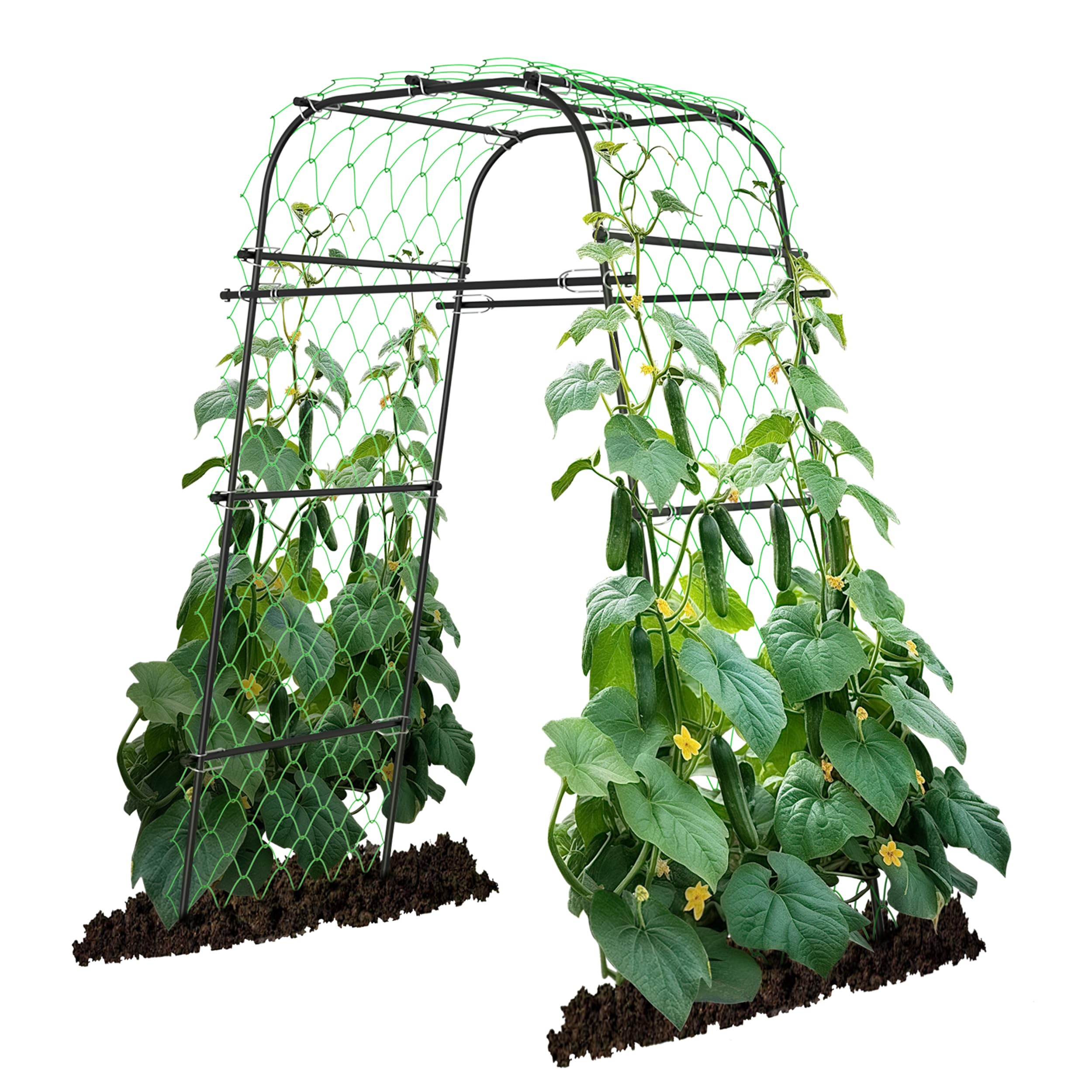 AlisisFores Garden Arch Trellis