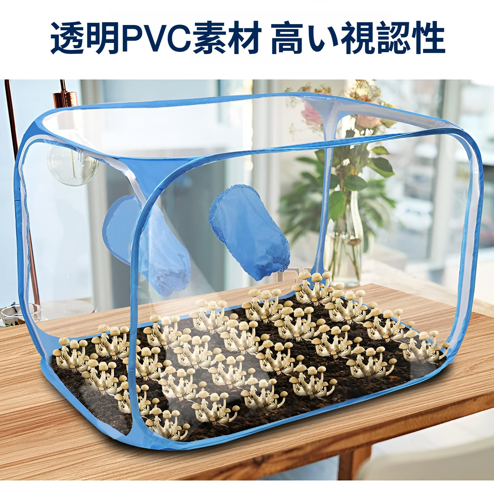 イ*ー様 マジック・マッシュルーム 完全栽培マニュアル 楽天市場】マジックマッシュルーム（本・雑誌・コミック）の通販