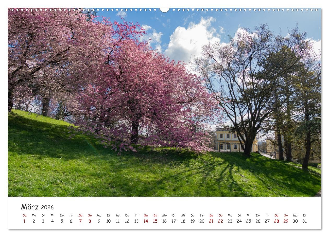 Kassel - Natur pur (hochwertiger Premium Wandkalender 2026 DIN A2 quer), Kunstdruck in Hochglanz: Wunderschöne Naturaufnahmen der nordhessischen Stadt Kassel. (CALVENDO Orte)