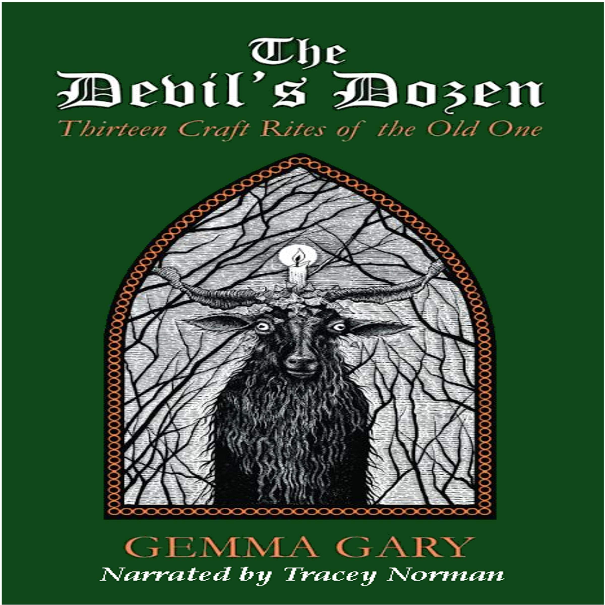 Cover art for The Devil's Dozen