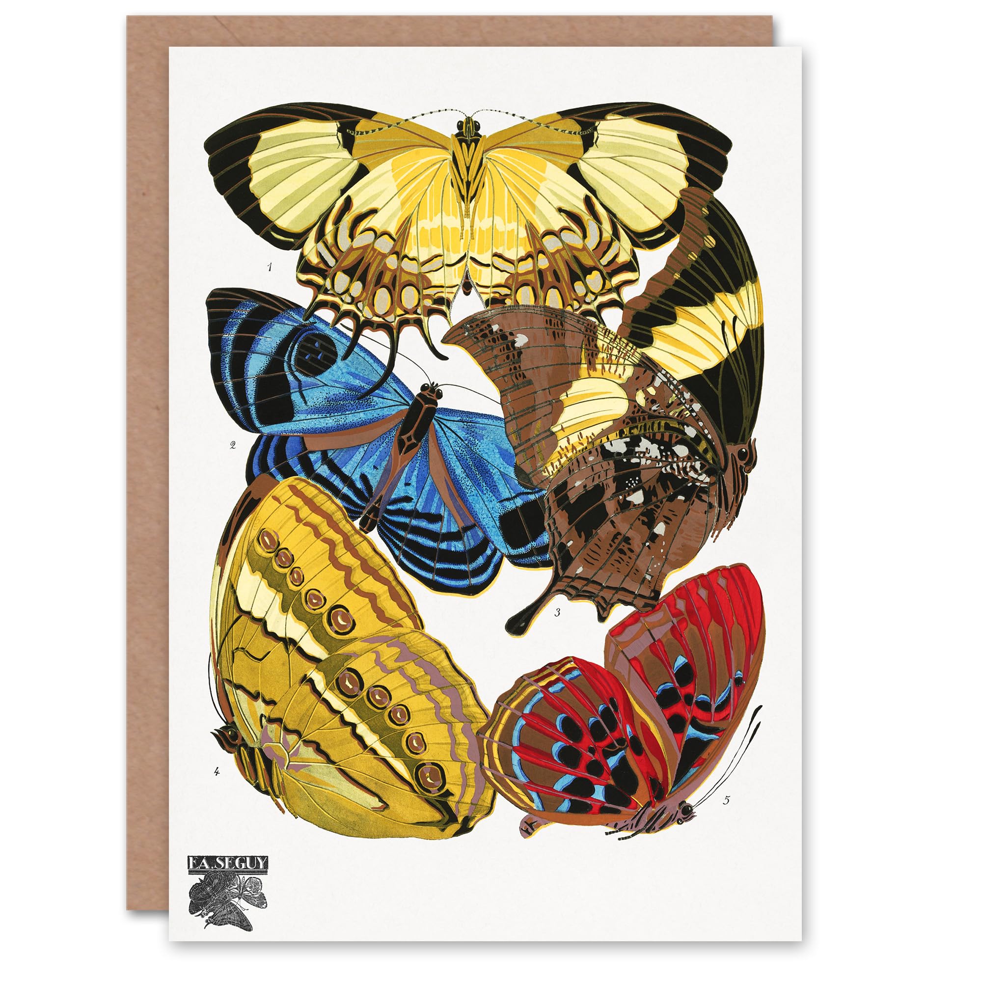 Artery8 Eugene Seguy Art Card Vintage Butterflies Yellow Red Blue