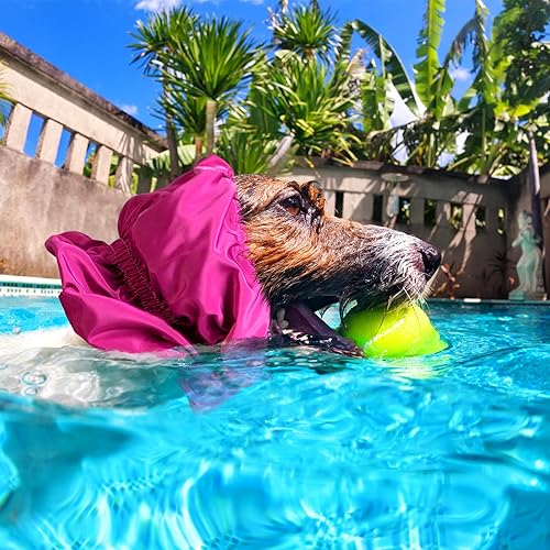 Miniatura 6 de Gorro de ducha impermeable para perro, 2 unidades, de 11.81 pulgadas, gorro de baño para perro con correa ajustable, para baño, perro, lluvia,