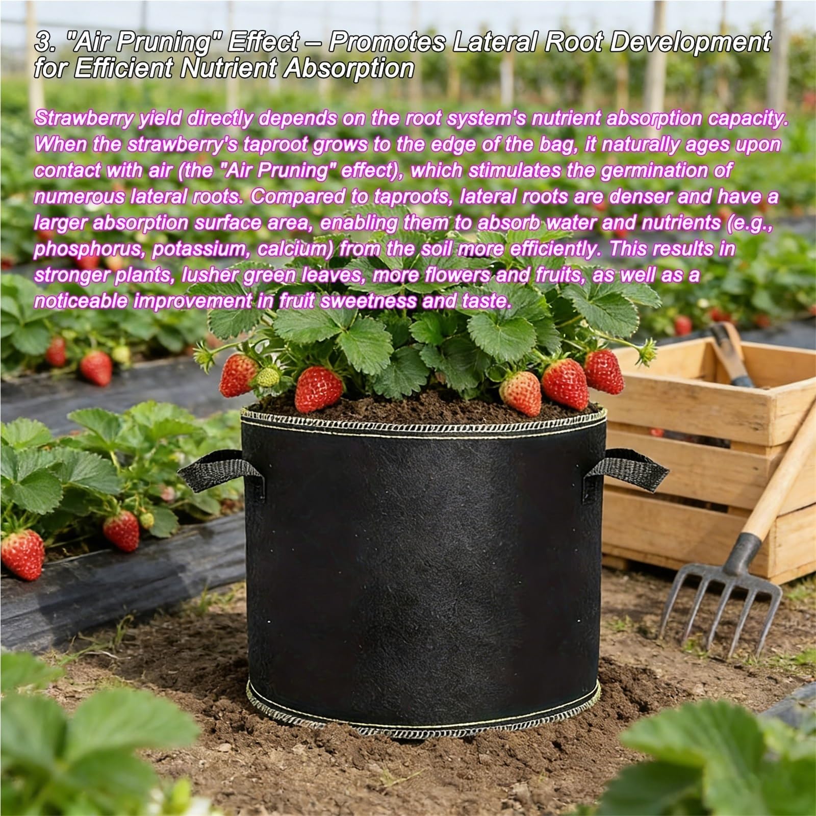 Stofftopf 68 Stück 3 Gallonen Erdbeer-Pflanzbeutel | Mit Griffen for den Garten(10pcs)