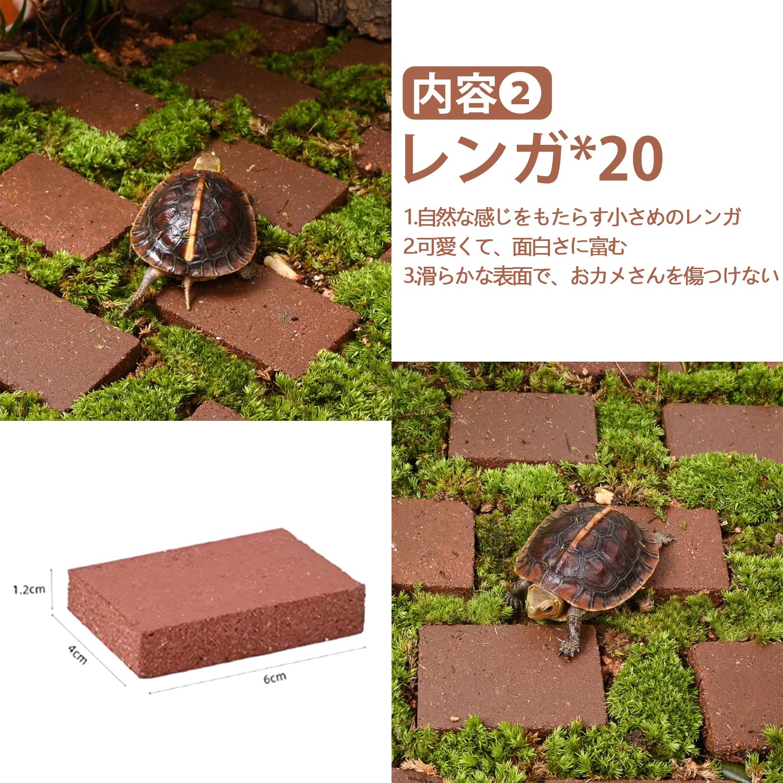 【英二さん専用】リクガメの飼育セット 英二さん専用】リクガメの飼育セット