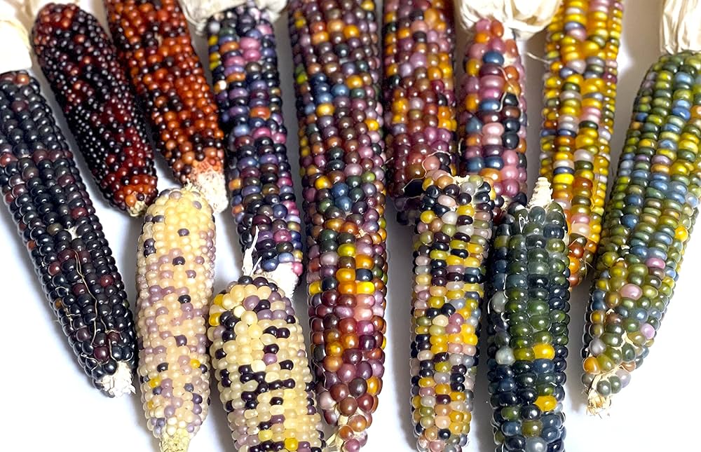 グラスジェムコーン太め　６０本詰め合わせ fb52f82fd40df8be31b77668745de2