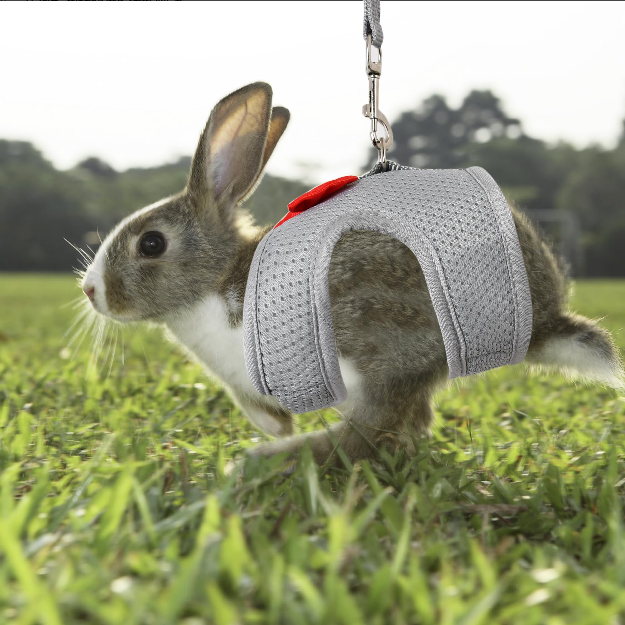AIITLE Cat Harness and Leash Set including Cute Bow - Image 3