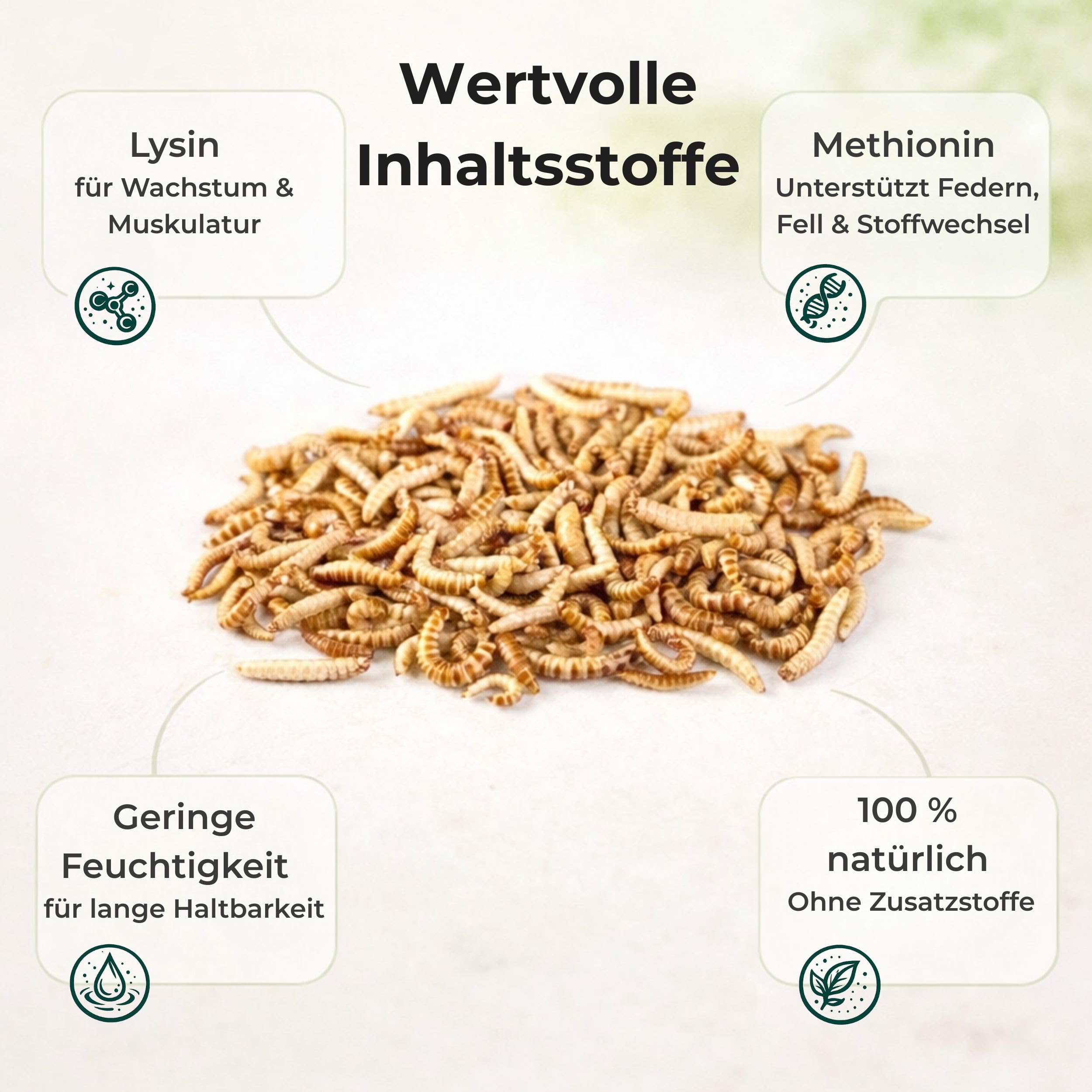 Blumixx Mehlwürmer getrocknet 2kg - Vogelfutter mit hohem Proteingehalt - ideal für Wildvögel, Hühner, Igel, Fische & Reptilien - Ganzjahresfutter für Garten, Terasse, Vogelhaus