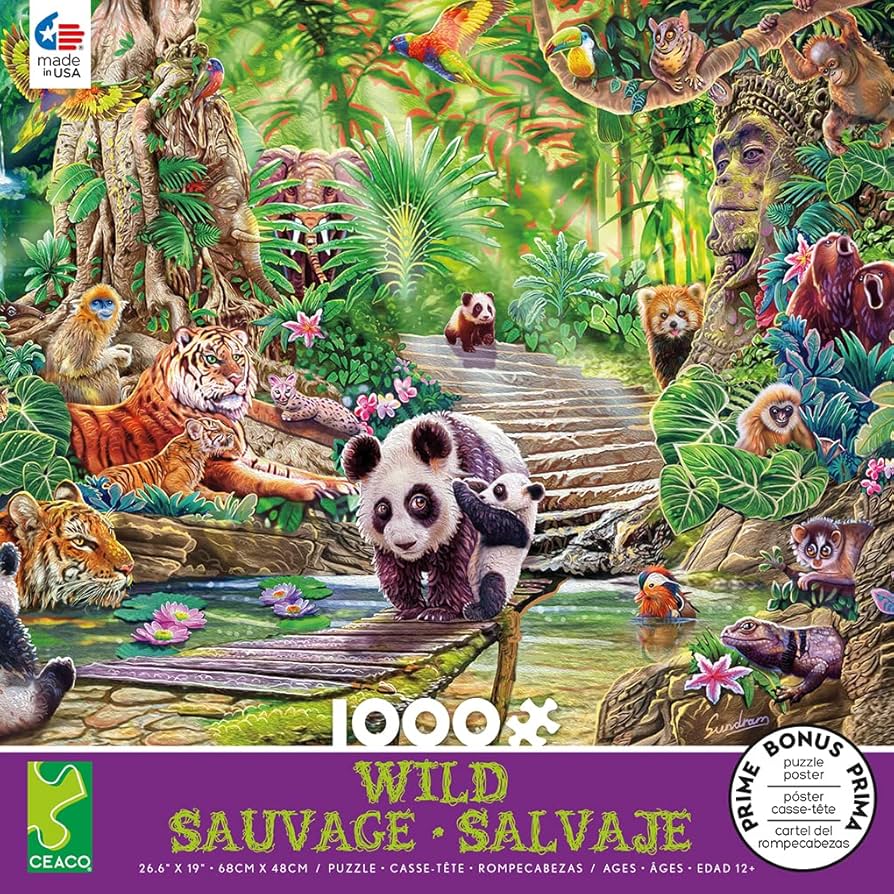 パタゴニア ＦＣD WILDBOAR5'8\"usd Discmania Discs C-Line Cd1 Orange 174g Driver Golf Disc | eBay