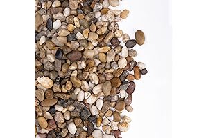 2.5lbs Premium Plant Stones for Optimal Indoor Drainage and Pot Decor