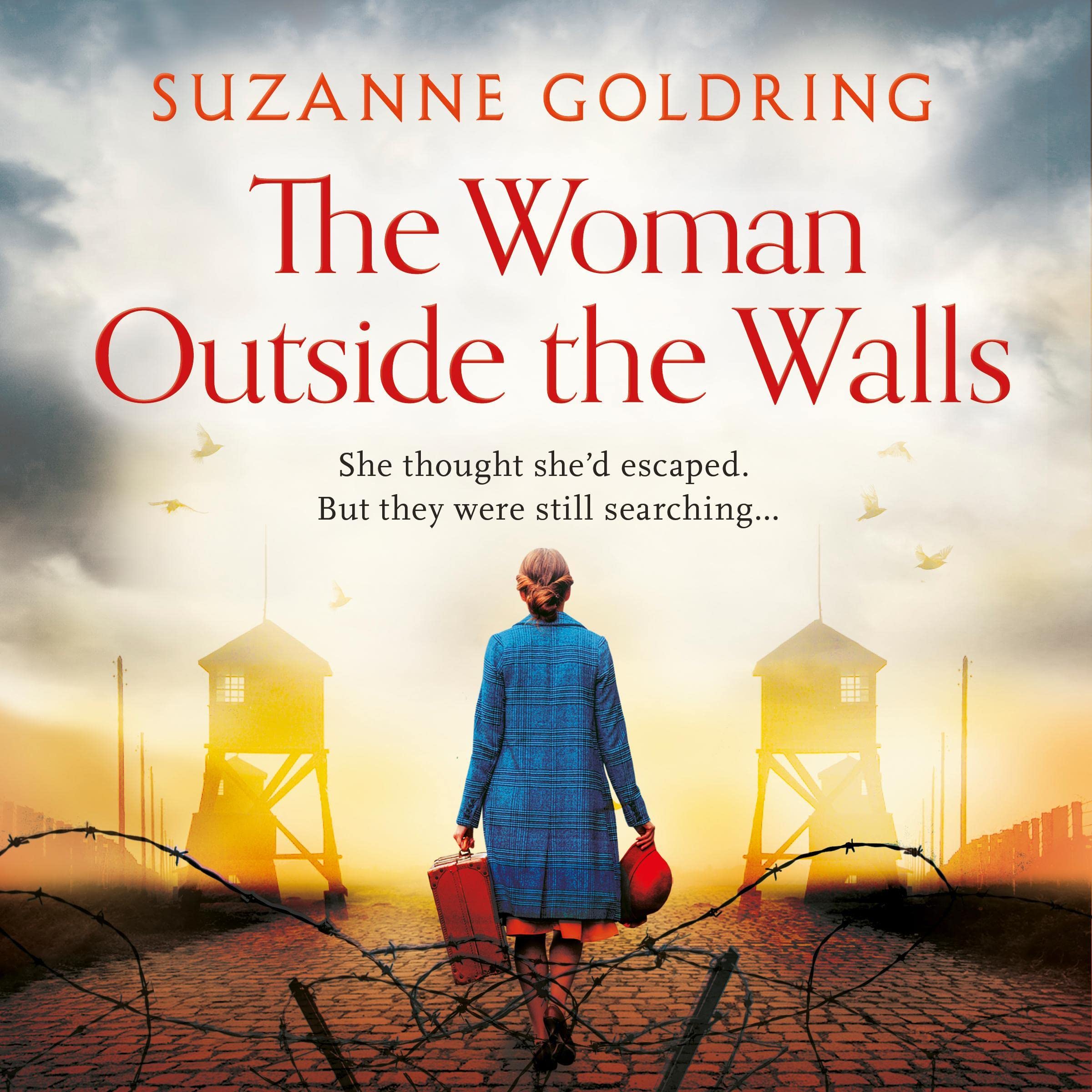 Cover art for The Woman Outside the Walls