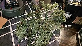 Review Image by Scholar Sage Scholar Sage