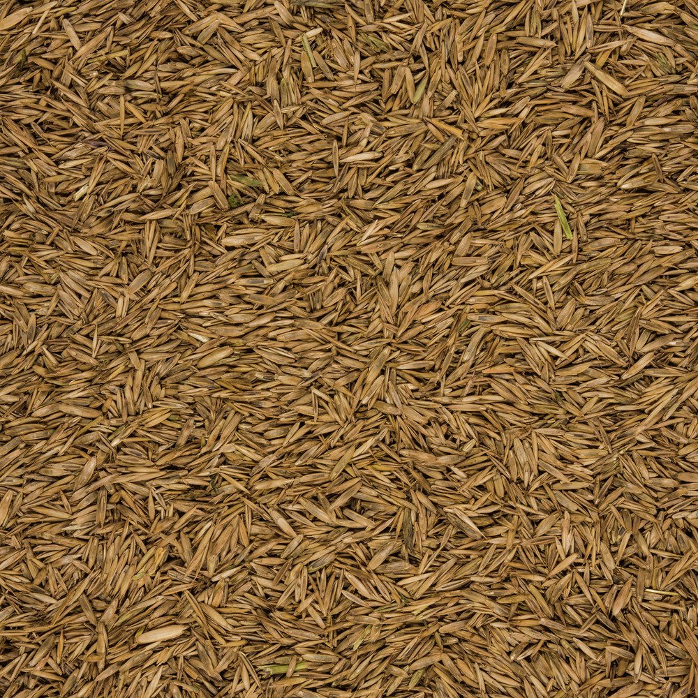 COMPO Lawn Game and Sport, Universal Lawn Mixture, 8 kg, 400 m²
