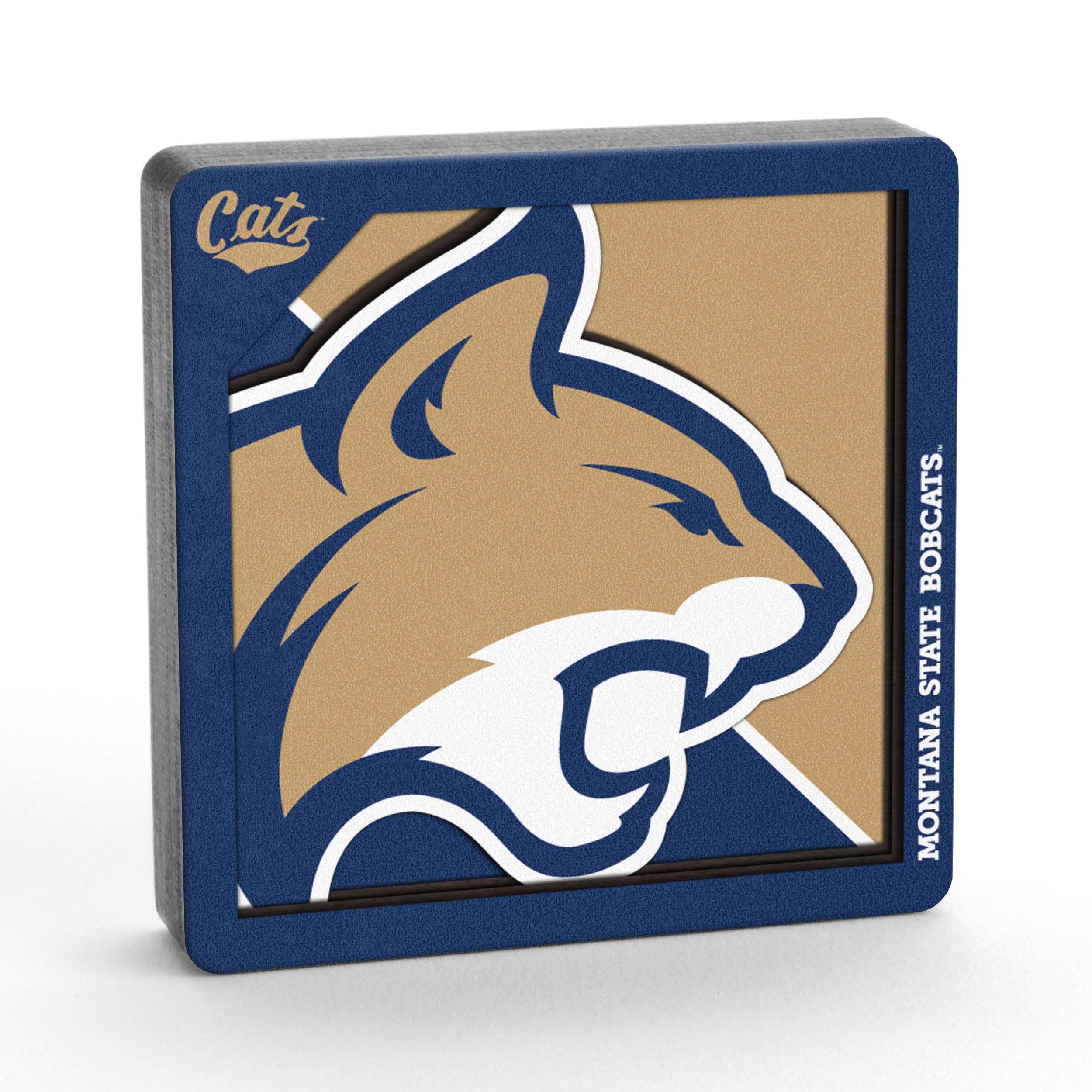 YouTheFan NCAA 3D Logo Series Magnet