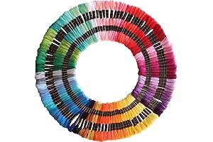 DMC 122 Skeins Embroidery Floss for Needlepoint and Cross Stitch