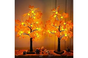 TURNMEON 24"/2FT LED Lighted Maple Tree with Timer for Thanksgiving