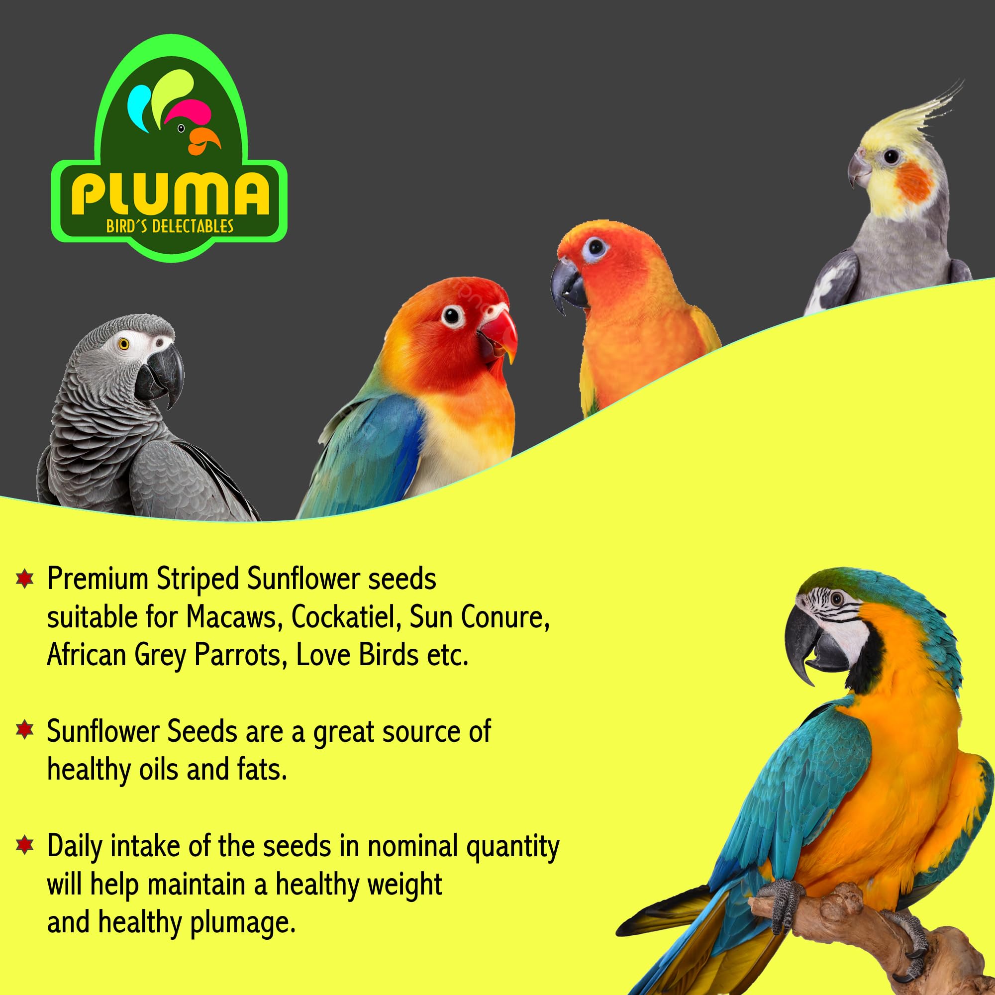 PLUMA BIRD'S DELECTABLES Bird Food|Sunflower Seeds - 850g (Pouch)|Striped Sunflower Seeds for Macaws,Cockatiel,Parrots,Sun Conure,African Grey Parrots,Love Birds|Suitable for Adult & Self Feeding Bird 2