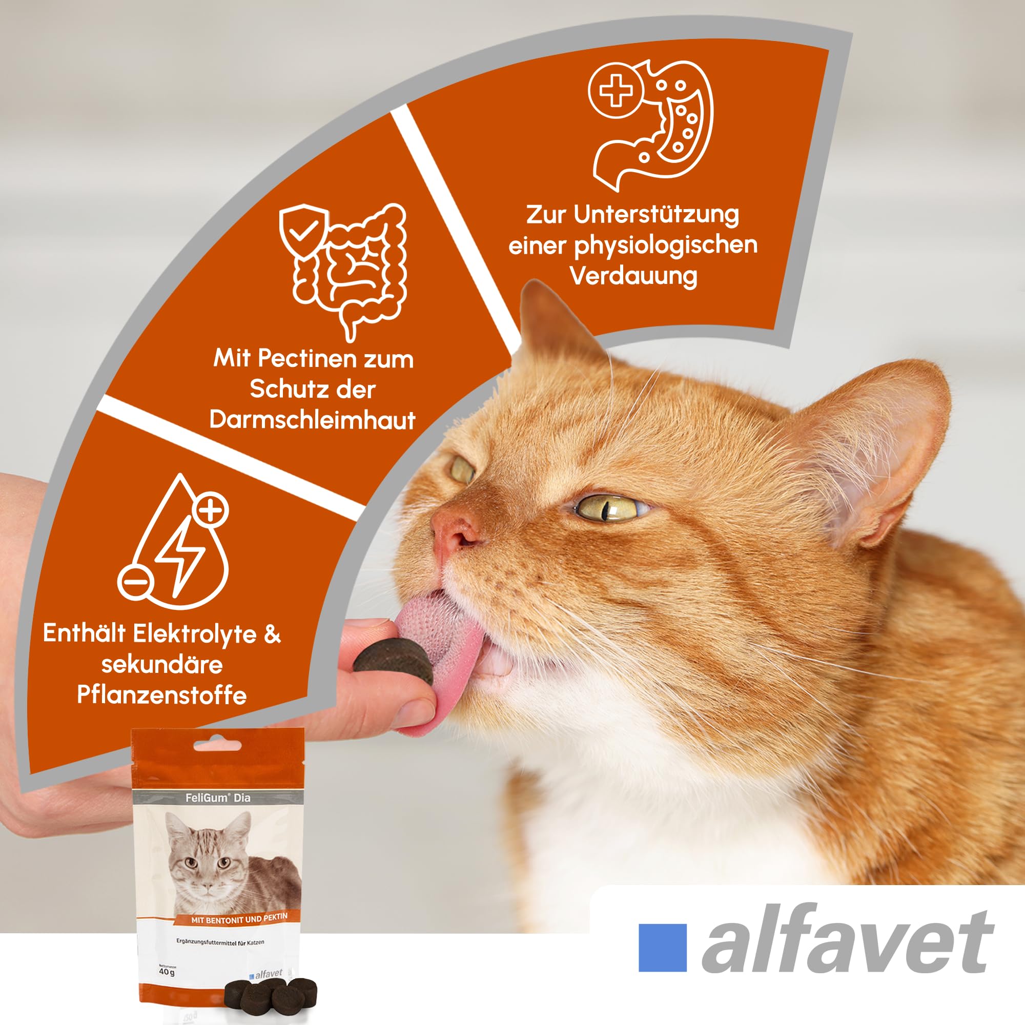 alfavet FeliGum Dia, complément Alimentaire en Cas de diarrhée pour Chats, Troubles de la résorption intestinale, pastilles à mâcher, Sachet de 40 g