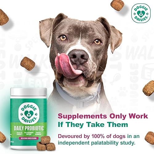 Miniatura 2 de Doggie Dailies Probióticos para perros, probióticos avanzados para perros con prebióticos, promueve la salud digestiva, apoya el sistema