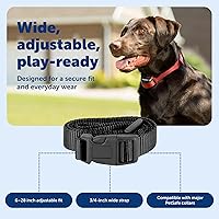 Vista 5 de PetSafe Correa de repuesto para collar de 3/4 pulgadas sin agujeros, correa ajustable, diseño de nailon duradero, hebilla de cierre rápido