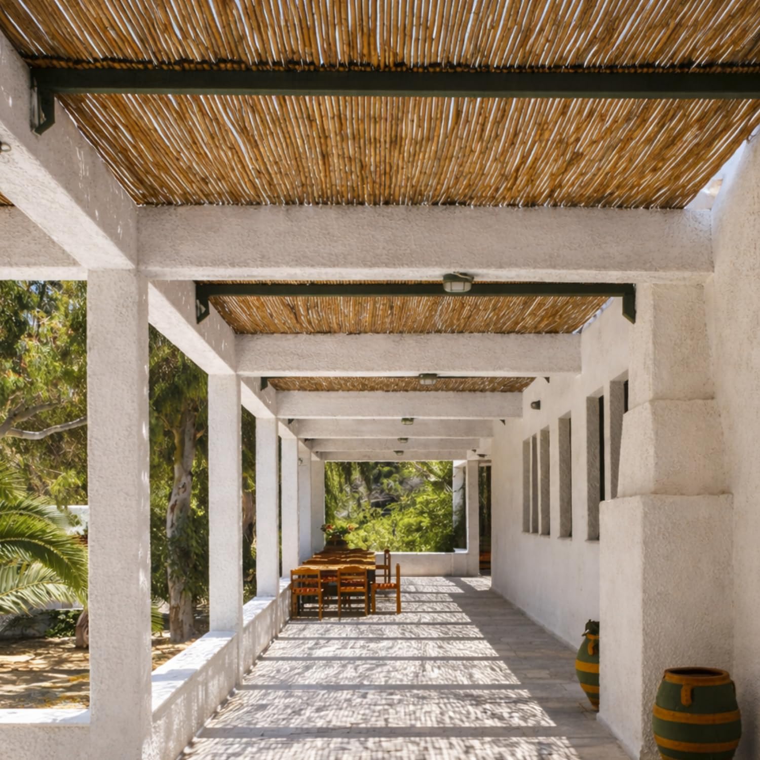 Virsus Arella in canna di Bambù, Recinzione Ombreggiante in bamboo naturale, Stuoia Frangivento e Frangivista per Decorazioni e Coperture, per Giardino, Balcone, Gazebo -3776F (200x300 cm)