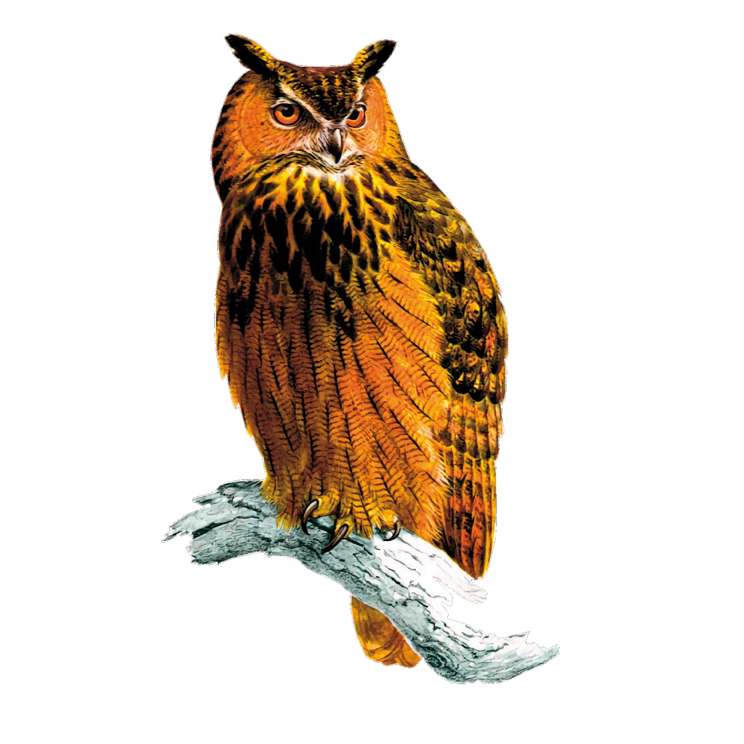 Lightningsigns Brown Window Cling Owl Bird Stained Glass Effect Window Decoration Sticker