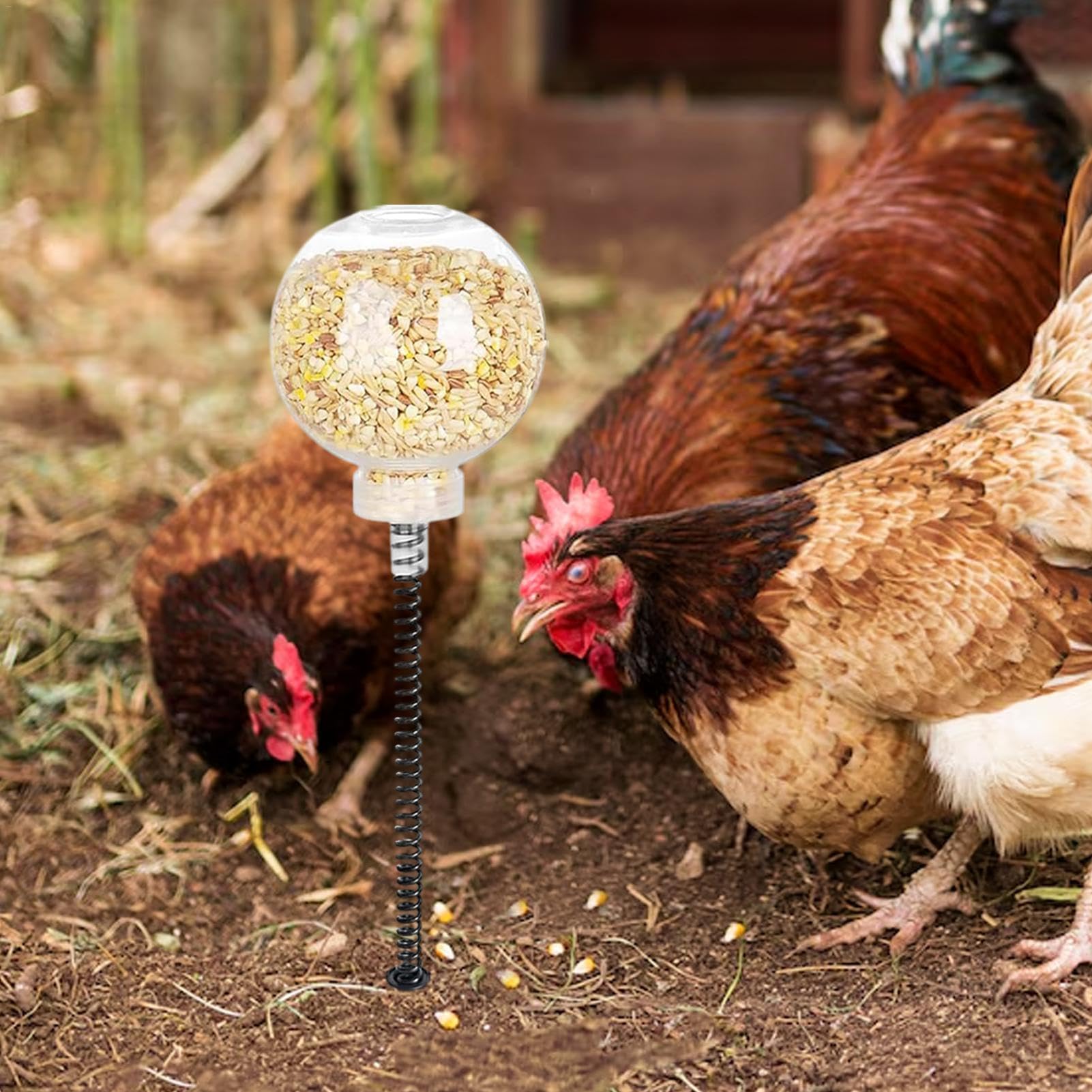 Kip Swing Feeder Speelgoed | Kip Treat Dispenser met Capaciteit | Slow Feeder voor Grain, Corn