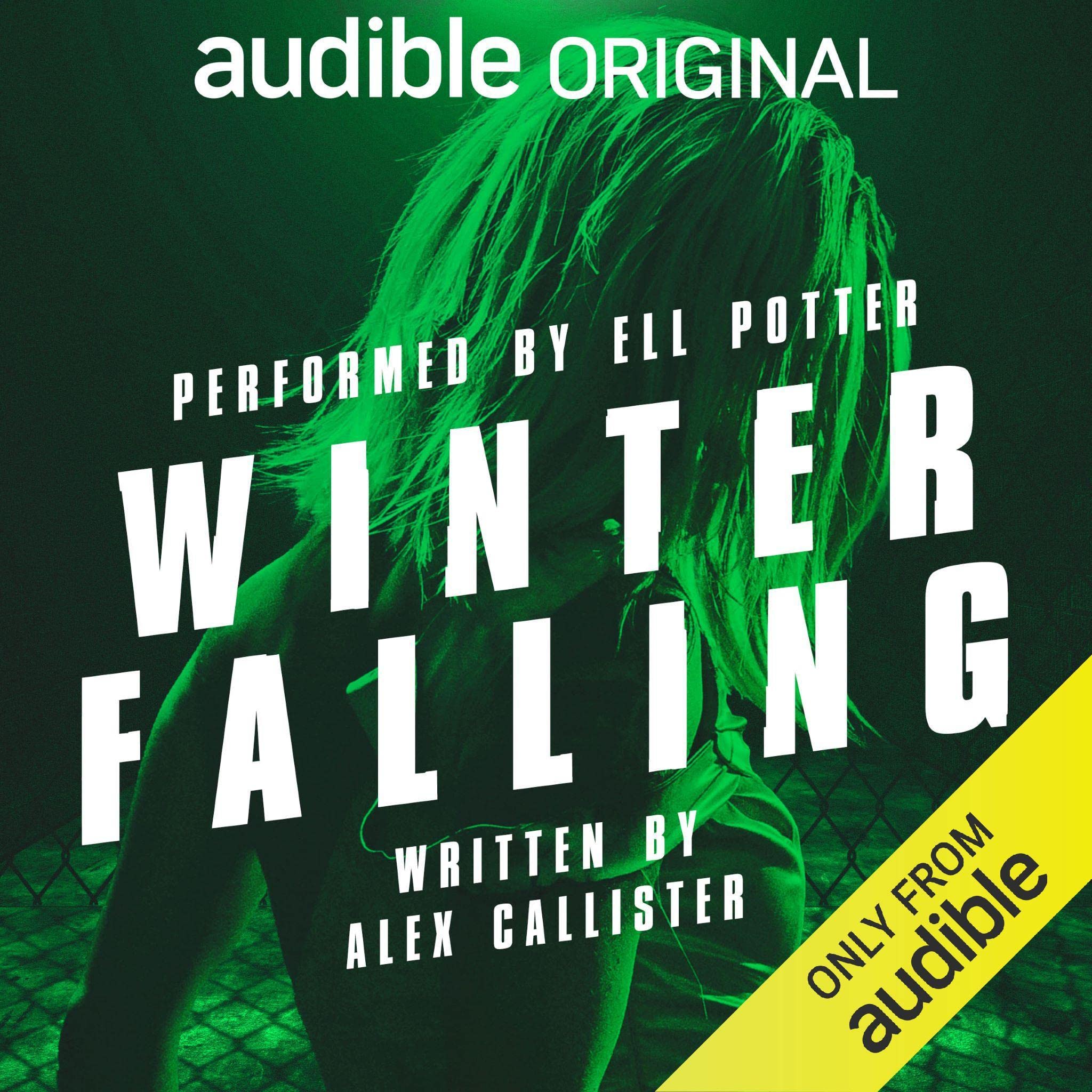Cover art for Winter Falling