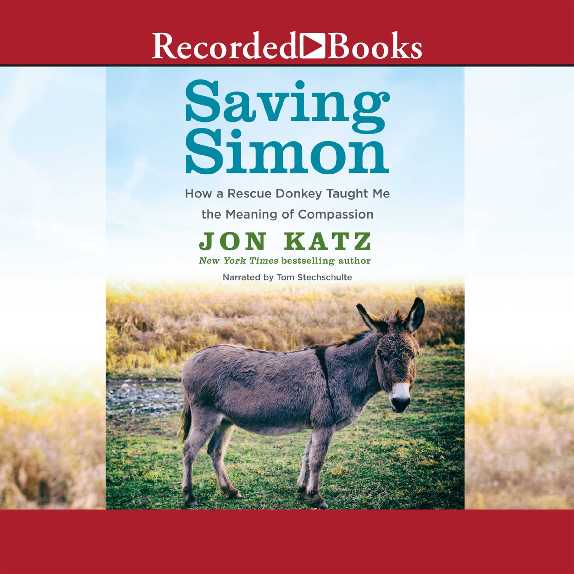 Cover art for Saving Simon