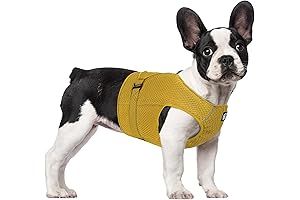 Summer Cool Dog Cooling Vest Harness