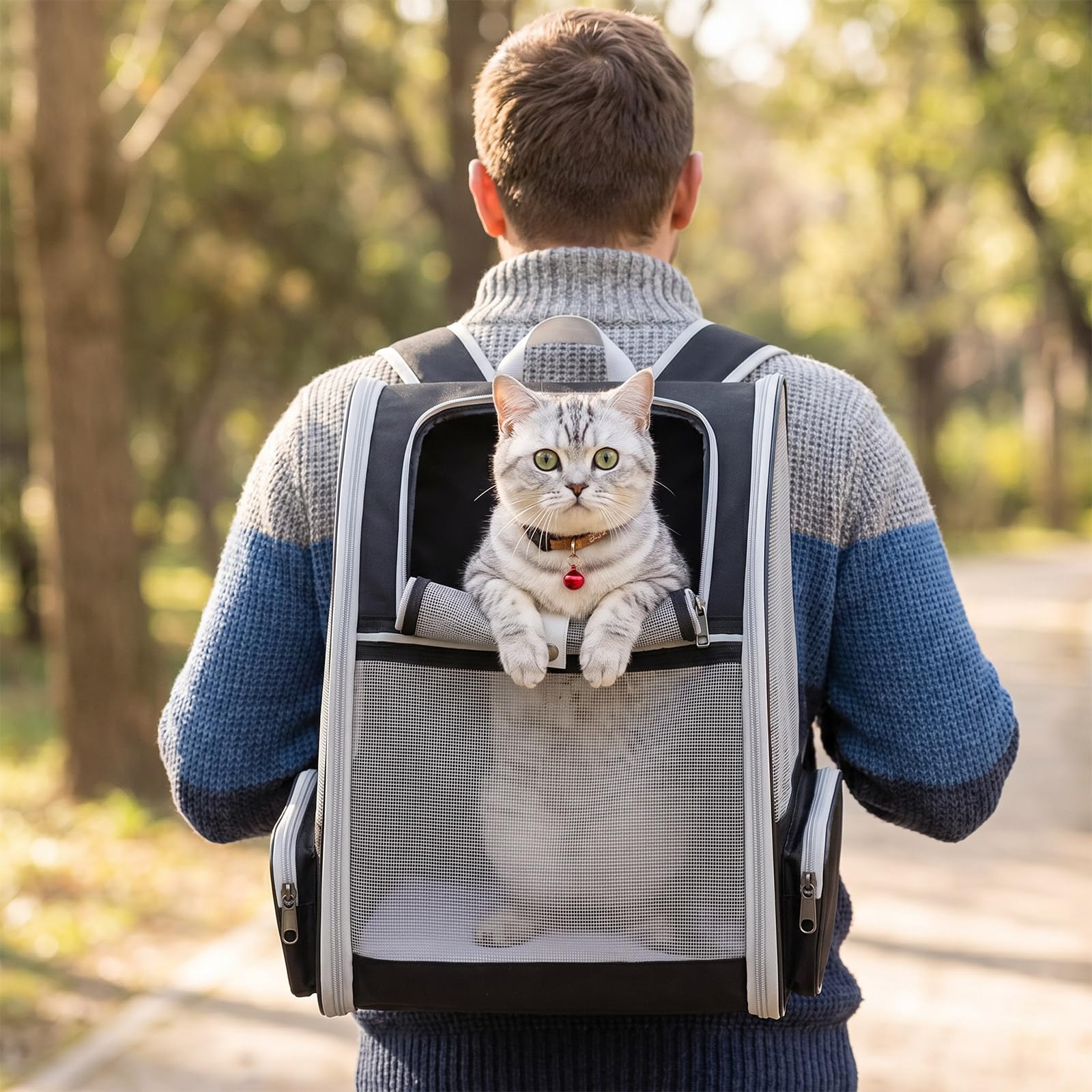 View 4
