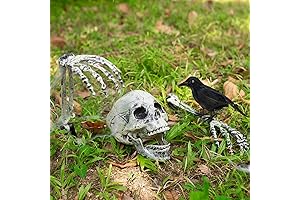 Creepy Halloween Skeleton Groundbreakers - Eerie Outdoor Graveyard Decorations