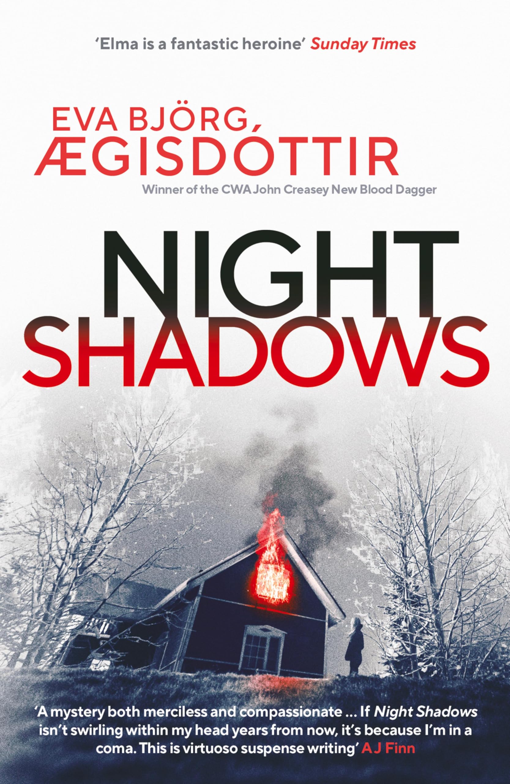 Night Shadows (Forbidden Iceland Book 3)