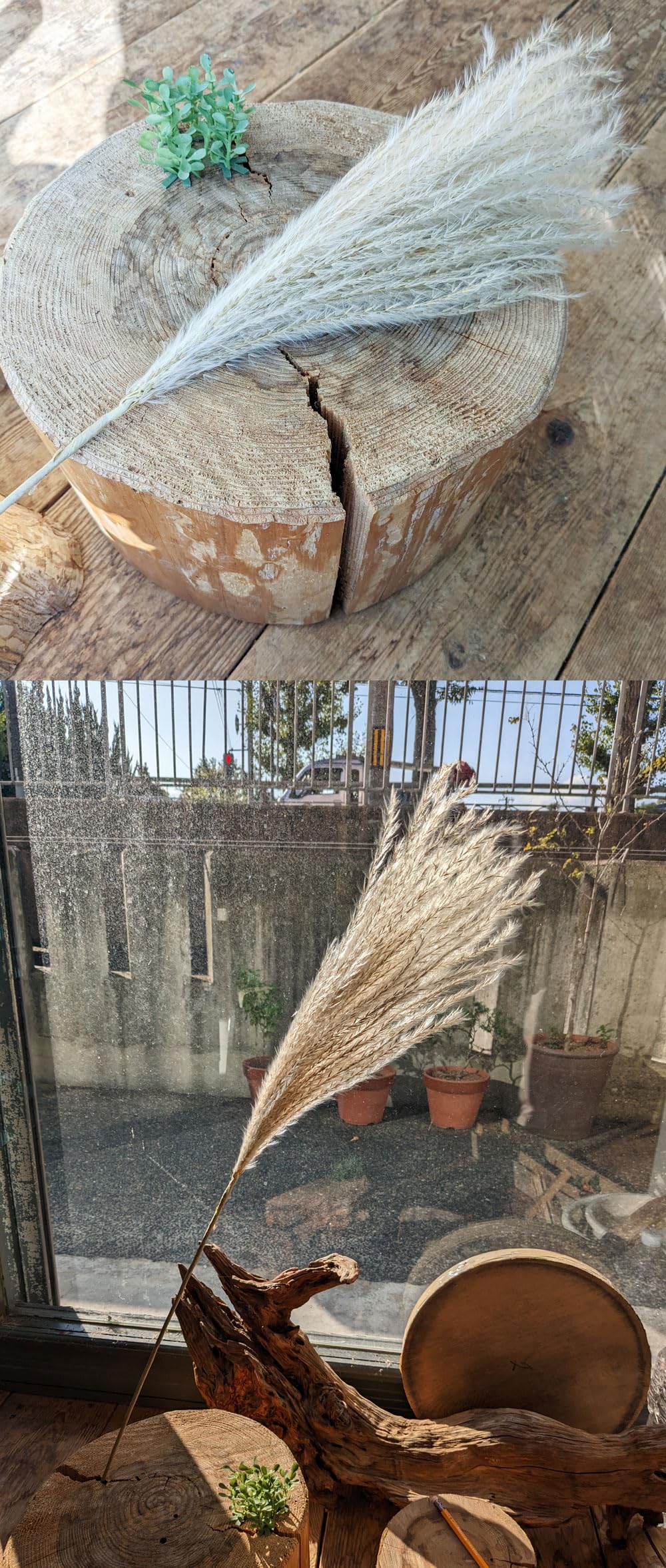 秋の造花　お楽しみ箱いっぱい‼️柿、毬栗、紅葉、ススキ、どんぐり… Amazon｜造花 ススキ 75cm｜造花 オンライン通販