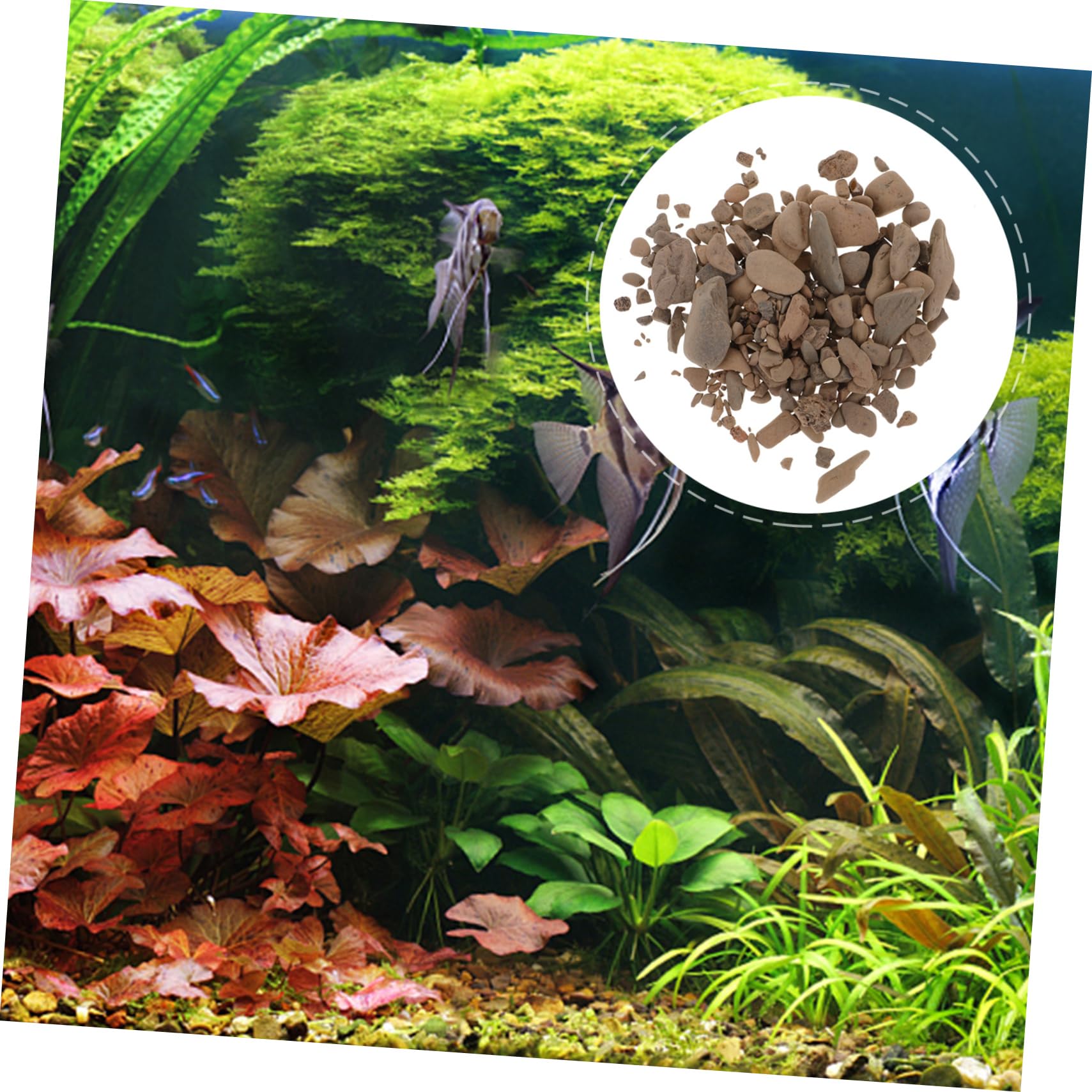 Toddmomy Vase Décoratif Naturelles Pour Aquarium Gravier Pour Poissons Et Plantes Décoration De Réservoir De Sable De