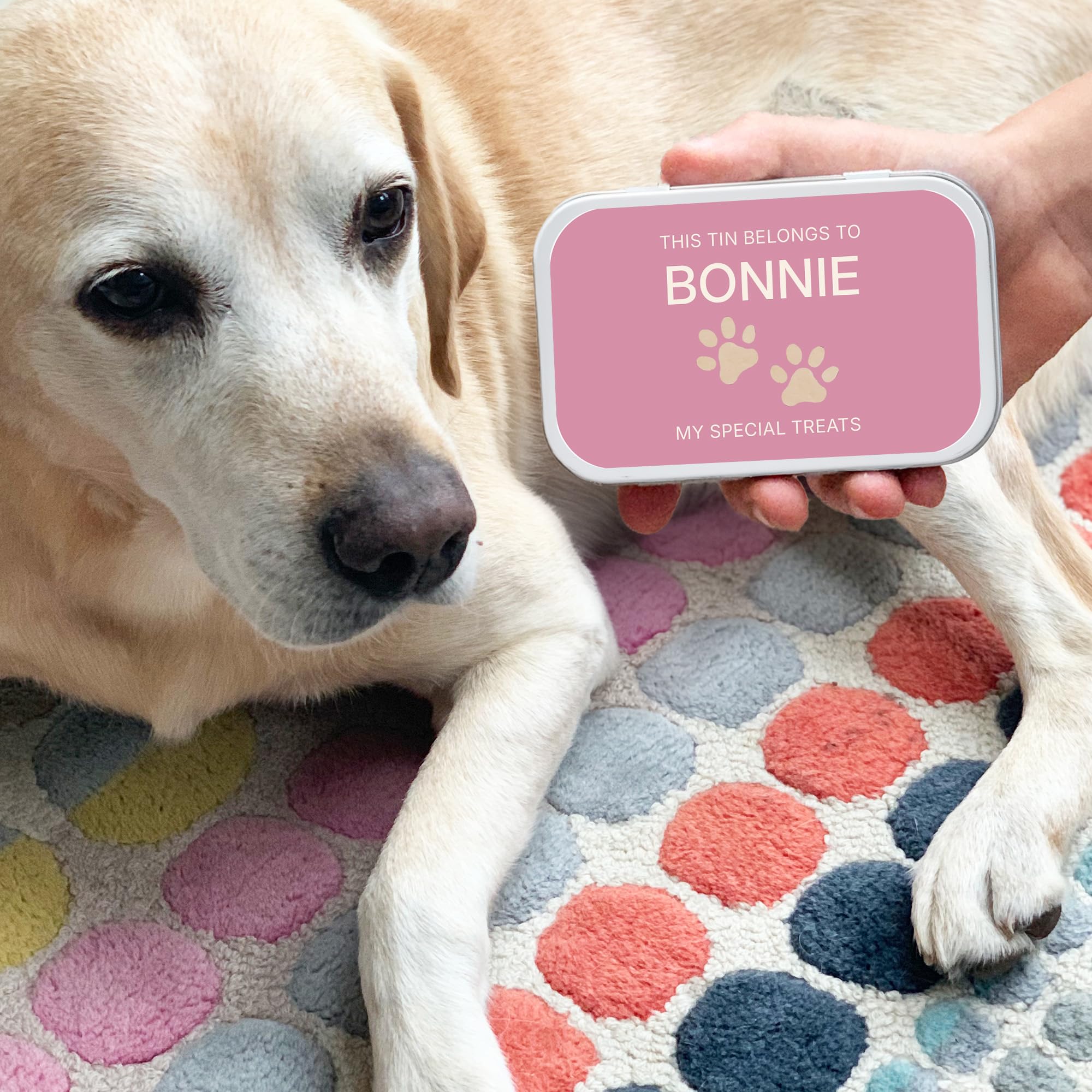 Cotton Twist Multi Personalised Pet Treat Keepsake Tins With Rectangular Design - Lightweight Animal Food
