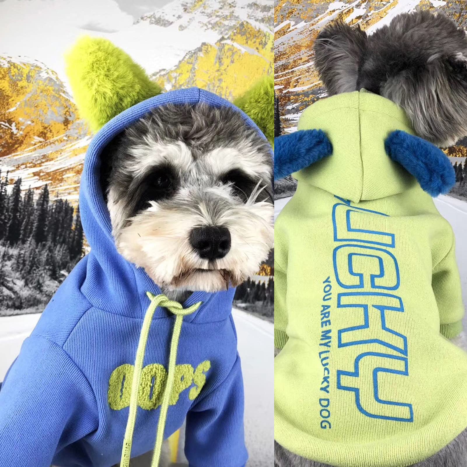 Nouveau Hiver Chien Sweat à Capuche Avec Poches Coton Chaud Chien Vetements Pour Petits Chiens Chihuahua Manteau Vetements Chiot Chat Custume Rose P8182186