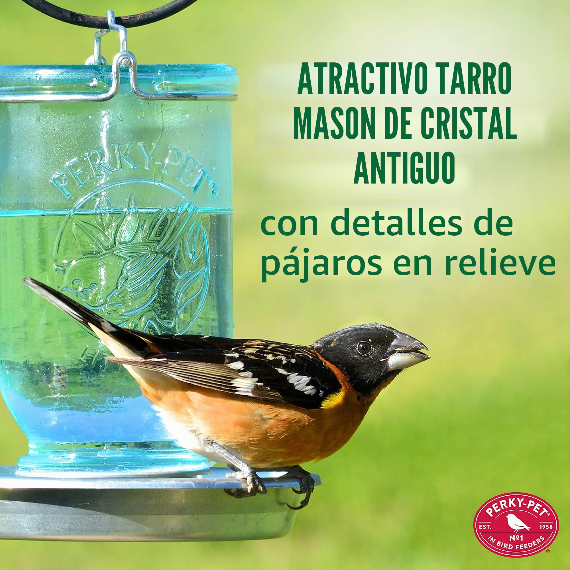 Opus [Perky-Pet] Bebedero para pájaros Tarro de cristal 783
